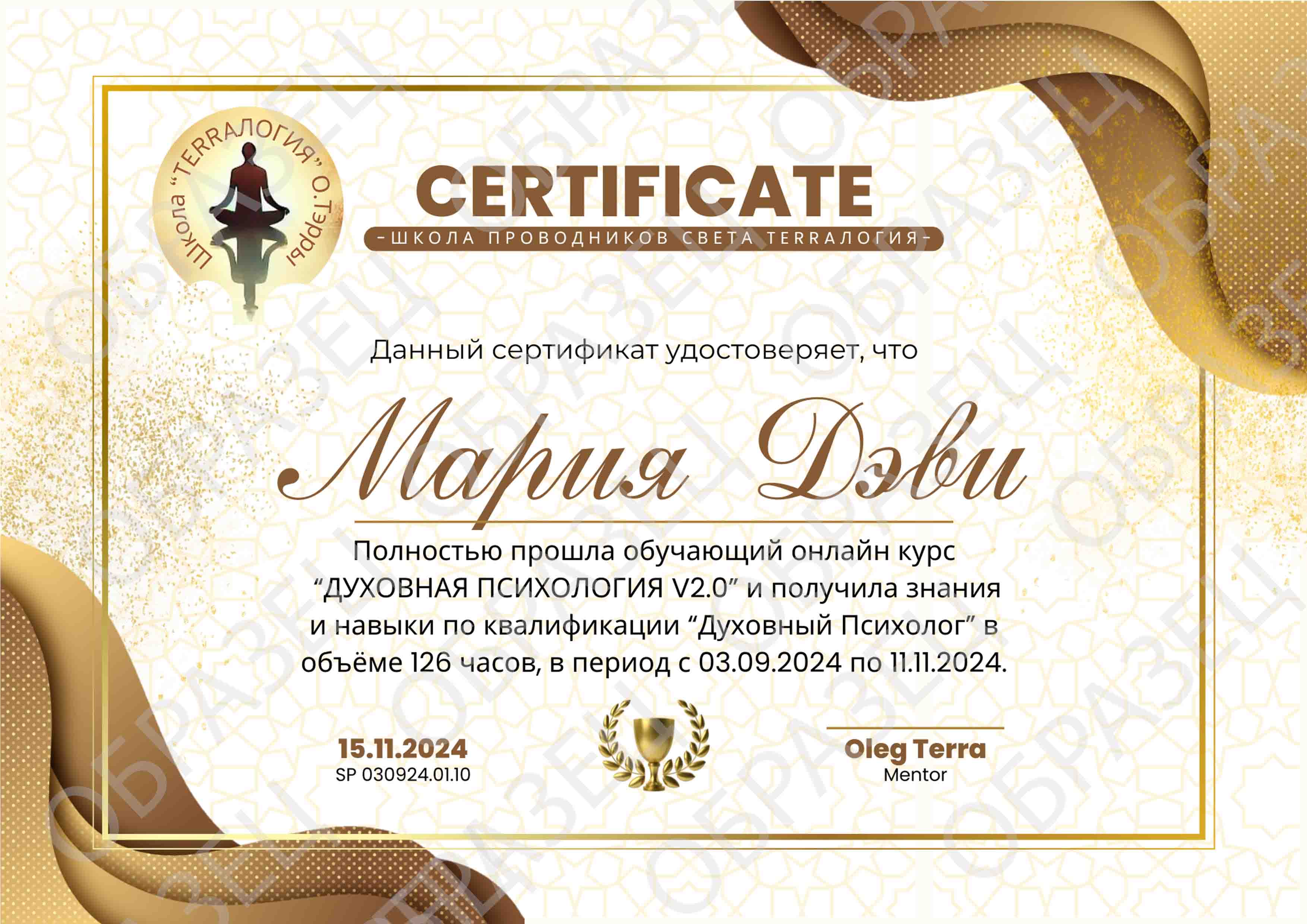 Сертификат Школы с защитой.jpg